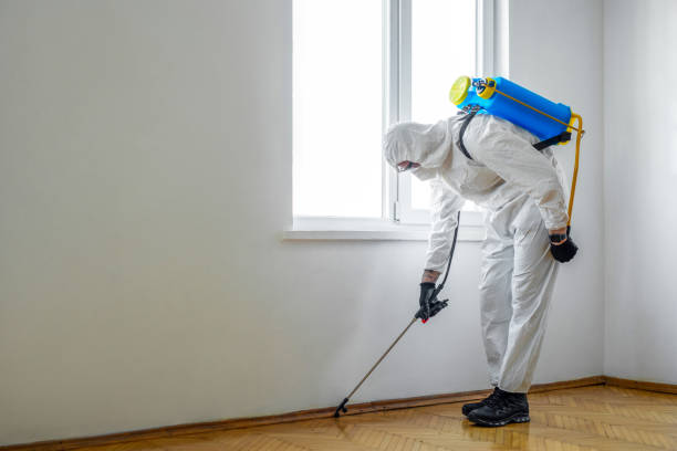 Best Best Pest Control Companies  in Dubois, PA