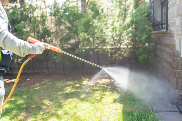 Best Local Pest Control Services  in Dubois, PA